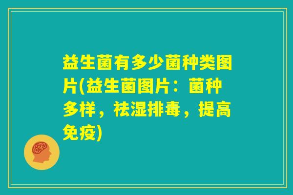 益生菌有多少菌种类图片(益生菌图片：菌种多样，祛湿排毒，提高免疫)