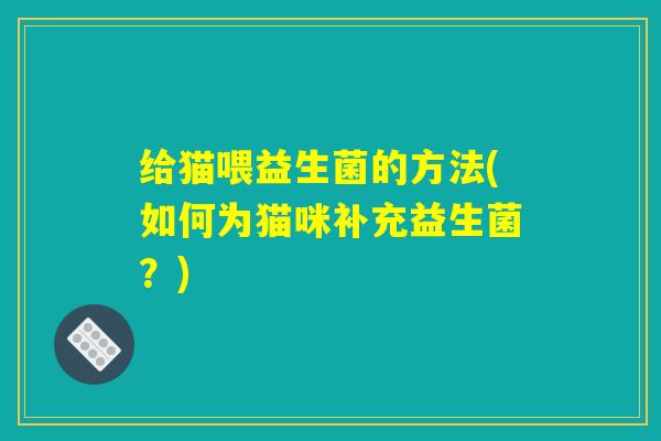 给猫喂益生菌的方法(如何为猫咪补充益生菌？)