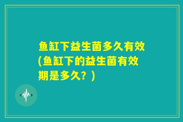 鱼缸下益生菌多久有效(鱼缸下的益生菌有效期是多久？)