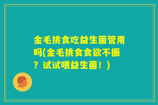 金毛挑食吃益生菌管用吗(金毛挑食食欲不振？试试喂益生菌！)