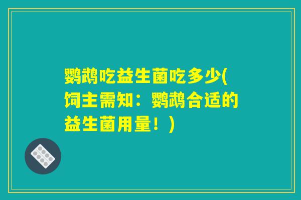 鹦鹉吃益生菌吃多少(饲主需知：鹦鹉合适的益生菌用量！)