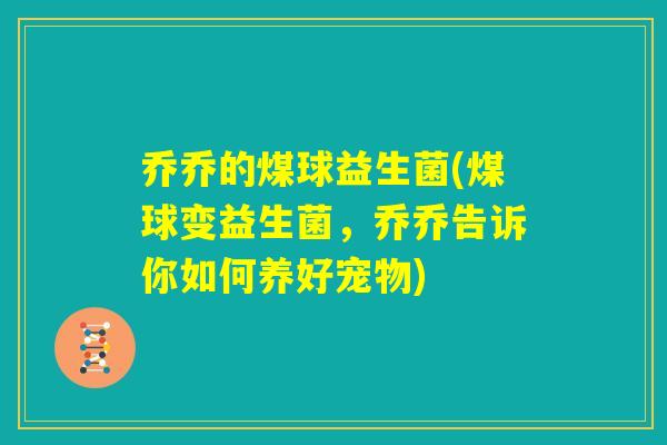 乔乔的煤球益生菌(煤球变益生菌，乔乔告诉你如何养好宠物)