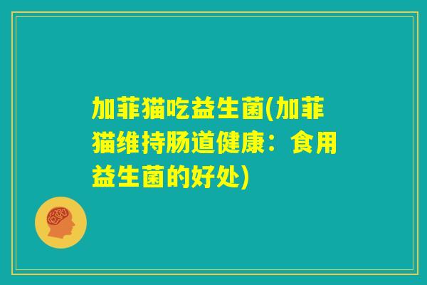 加菲猫吃益生菌(加菲猫维持肠道健康:食用益生菌的好处) 加菲猫吃益生菌(加菲猫维持肠道健康:食用益生菌的好处)