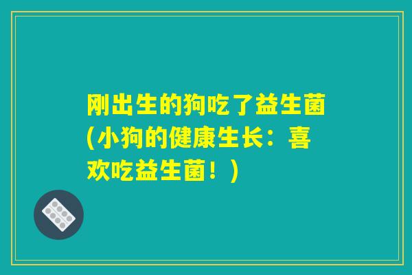 刚出生的狗吃了益生菌(小狗的健康生长：喜欢吃益生菌！)