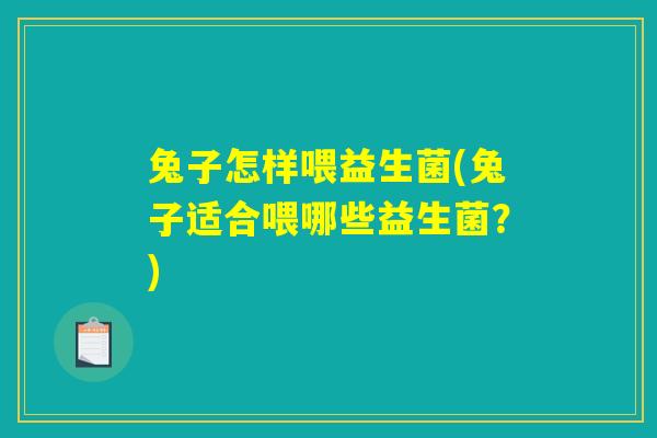 兔子怎样喂益生菌(兔子适合喂哪些益生菌？)