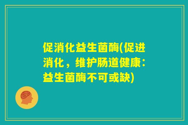 促消化益生菌酶(促进消化，维护肠道健康：益生菌酶不可或缺)