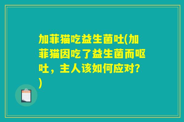 加菲猫吃益生菌吐(加菲猫因吃了益生菌而呕吐，主人该如何应对？)