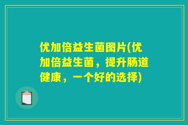 优加倍益生菌图片(优加倍益生菌，提升肠道健康，一个好的选择)