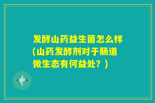 发酵山药益生菌怎么样(山药发酵剂对于肠道微生态有何益处？)