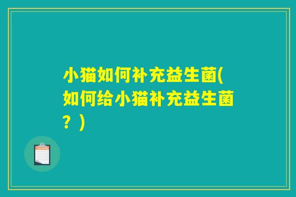 小猫如何补充益生菌(如何给小猫补充益生菌？)