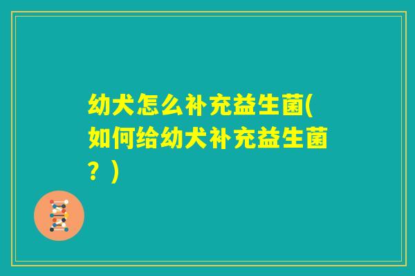 幼犬怎么补充益生菌(如何给幼犬补充益生菌？)