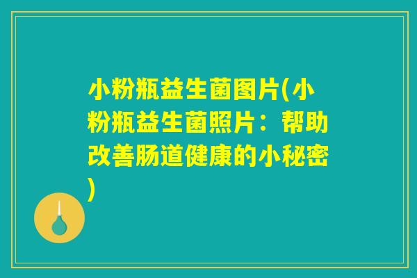 小粉瓶益生菌图片(小粉瓶益生菌照片：帮助改善肠道健康的小秘密)