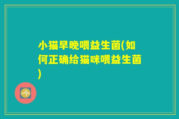 小猫早晚喂益生菌(如何正确给猫咪喂益生菌)