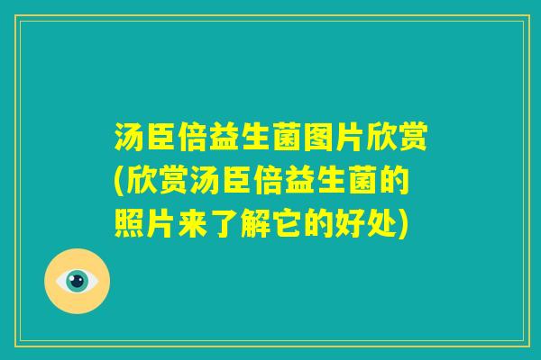 汤臣倍益生菌图片欣赏(欣赏汤臣倍益生菌的照片来了解它的好处)