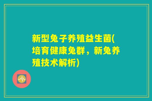新型兔子养殖益生菌(培育健康兔群,新兔养殖技术解析) 新型兔子养殖益生菌(培育健康兔群,新兔养殖技术解析)