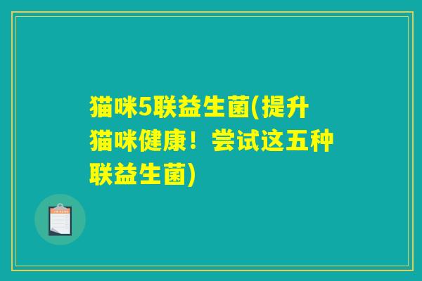 猫咪5联益生菌(提升猫咪健康！尝试这五种联益生菌)