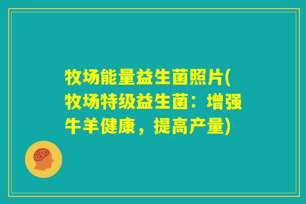 牧场能量益生菌照片(牧场特级益生菌：增强牛羊健康，提高产量)