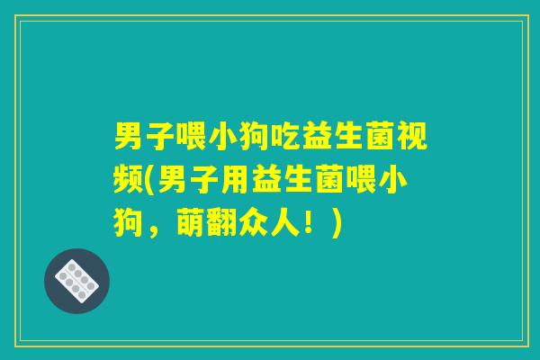 男子喂小狗吃益生菌视频(男子用益生菌喂小狗,萌翻众人!) 男子喂小狗吃益生菌视频(男子用益生菌喂小狗,萌翻众人!)