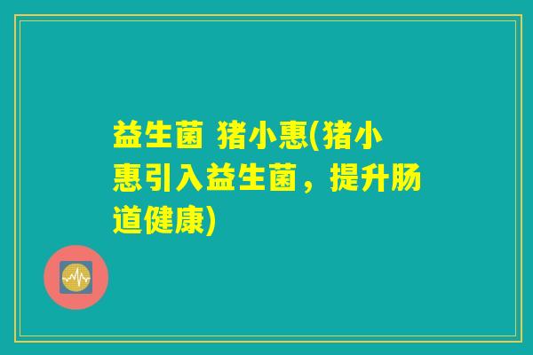 益生菌 猪小惠(猪小惠引入益生菌，提升肠道健康)