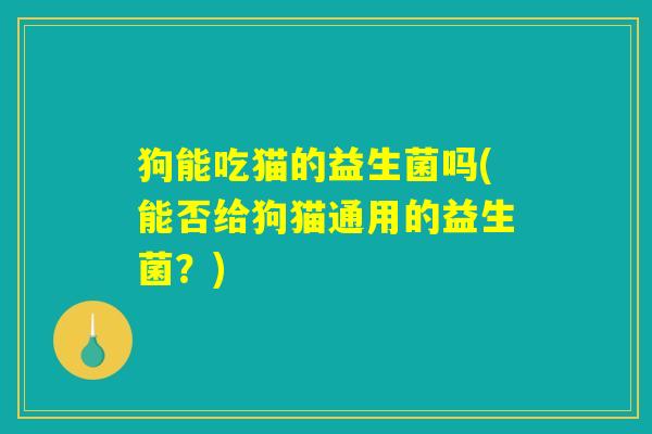 狗能吃猫的益生菌吗(能否给狗猫通用的益生菌？)