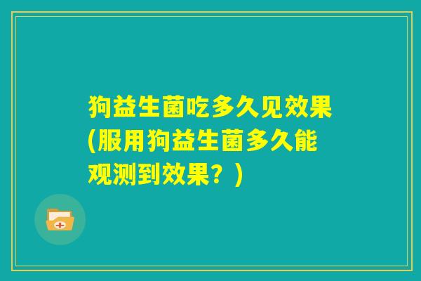 狗益生菌吃多久见效果(服用狗益生菌多久能观测到效果？)