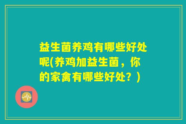 益生菌养鸡有哪些好处呢(养鸡加益生菌，你的家禽有哪些好处？)