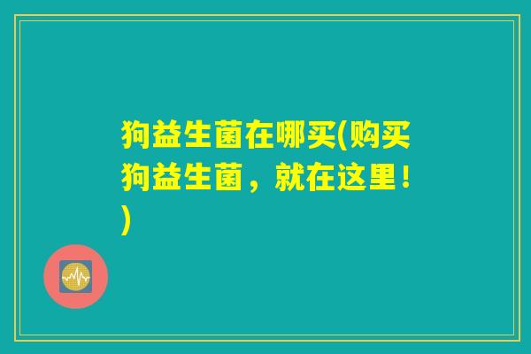 狗益生菌在哪买(购买狗益生菌，就在这里！)