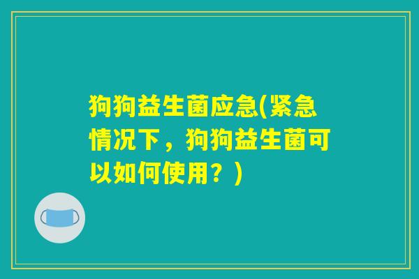 狗狗益生菌应急(紧急情况下,狗狗益生菌可以如何使用?) 狗狗益生菌应急(紧急情况下,狗狗益生菌可以如何使用?)