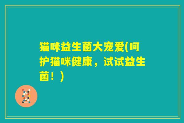 猫咪益生菌大宠爱(呵护猫咪健康,试试益生菌!) 猫咪益生菌大宠爱(呵护猫咪健康,试试益生菌!)