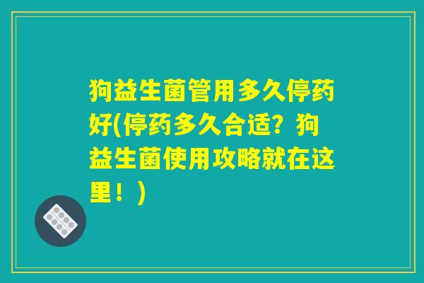狗益生菌管用多久停药好(停药多久合适？狗益生菌使用攻略就在这里！)