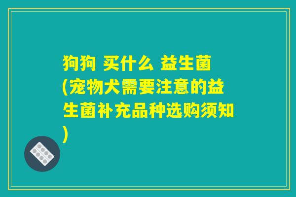 狗狗 买什么 益生菌(宠物犬需要注意的益生菌补充品种选购须知)