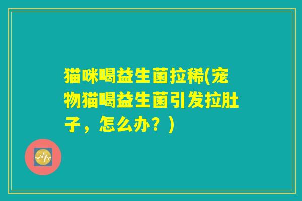 猫咪喝益生菌拉稀(宠物猫喝益生菌引发拉肚子,怎么办?) 猫咪喝益生菌拉稀(宠物猫喝益生菌引发拉肚子,怎么办?)