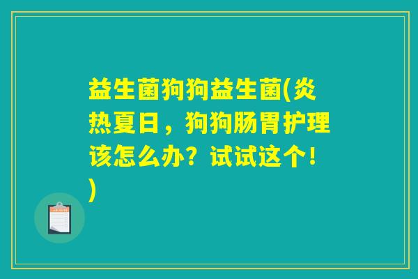 益生菌狗狗益生菌(炎热夏日，狗狗肠胃护理该怎么办？试试这个！)