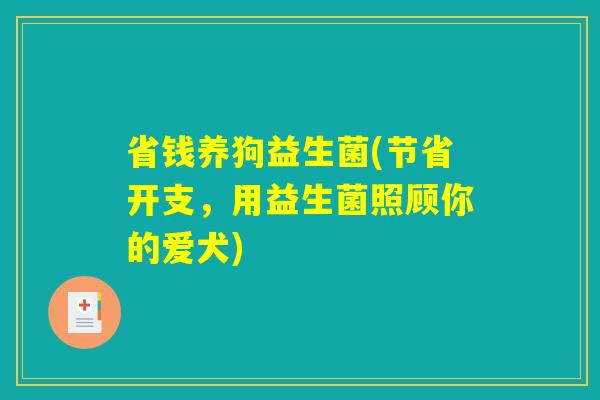 省钱养狗益生菌(节省开支,用益生菌照顾你的爱犬) 省钱养狗益生菌(节省开支,用益生菌照顾你的爱犬)