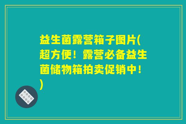 益生菌露营箱子图片(超方便！露营必备益生菌储物箱拍卖促销中！)