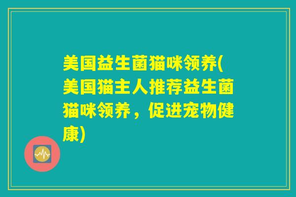 美国益生菌猫咪领养(美国猫主人推荐益生菌猫咪领养,促进宠物健康) 美国益生菌猫咪领养(美国猫主人推荐益生菌猫咪领养,促进宠物健康)