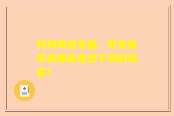 狗狗喝益生菌，究竟能带来哪些意想不到的惊喜？