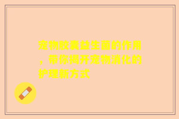 宠物胶囊益生菌的作用，带你揭开宠物消化的护理新方式