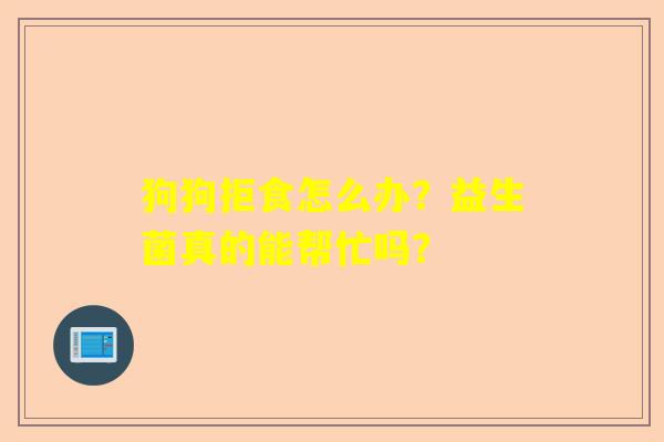 狗狗拒食怎么办？益生菌真的能帮忙吗？