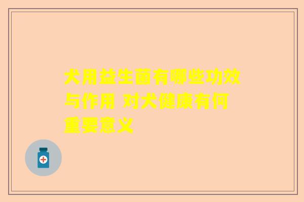 犬用益生菌有哪些功效与作用 对犬健康有何重要意义