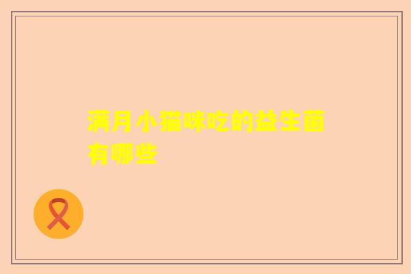 满月小猫咪吃的益生菌有哪些