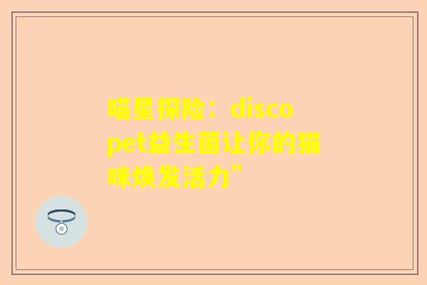 喵星探险：discopet益生菌让你的猫咪焕发活力”